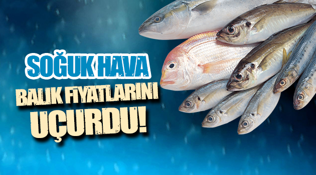 Soğuk hava balık fiyatlarını uçurdu