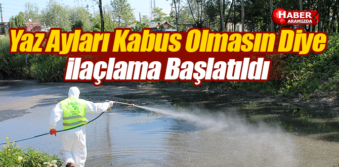 Tekkeköy Belediyesi Karasinek ve Sivrisineklerle Mücadele ediyor
