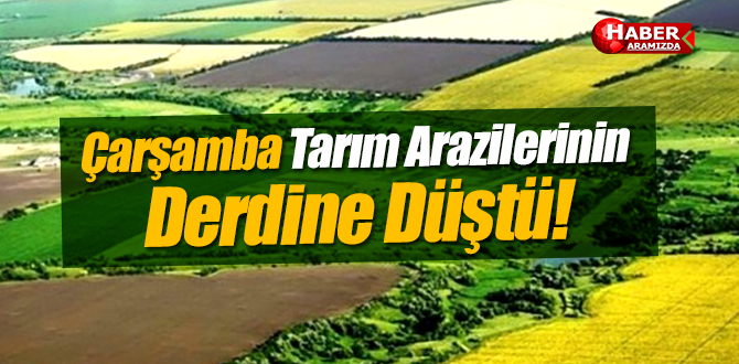 Çarşamba Tarım Arazileri Bölünüp Parçalanmasın Diye Toplandı