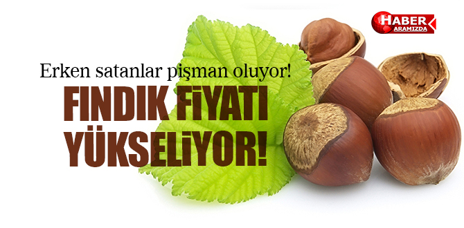 2016 Fındık fiyatları yükseliyor erken satanlar üzgün!