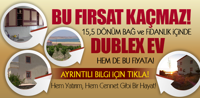 SATILIK 15,5 DÖNÜM BAĞ VE FiDANLIK İÇİNDE DUBLEX EV