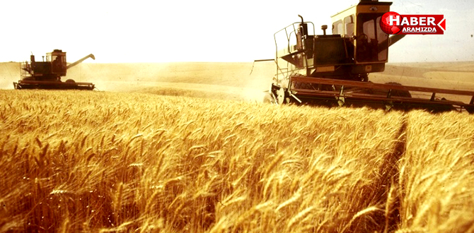 2016 Yılı Buğday Hasadında Son Durum!