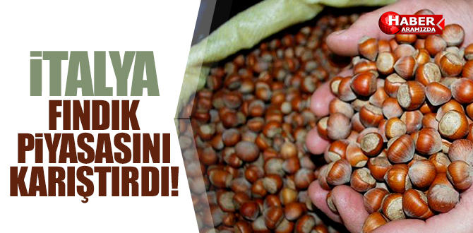İtalya Fındık piyasasını böyle karıştırdı!