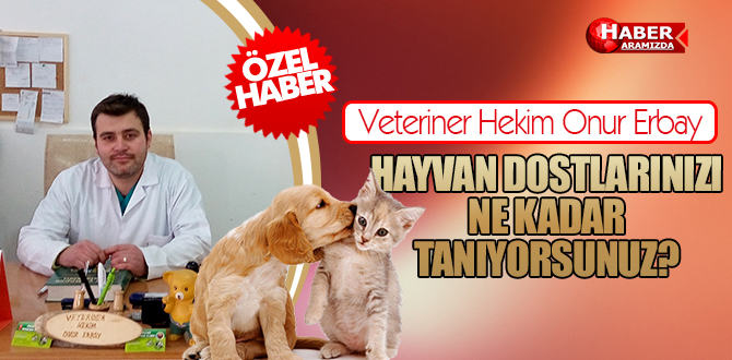 HAYVAN DOSTLARINIZI NE KADAR TANIYORSUNUZ?