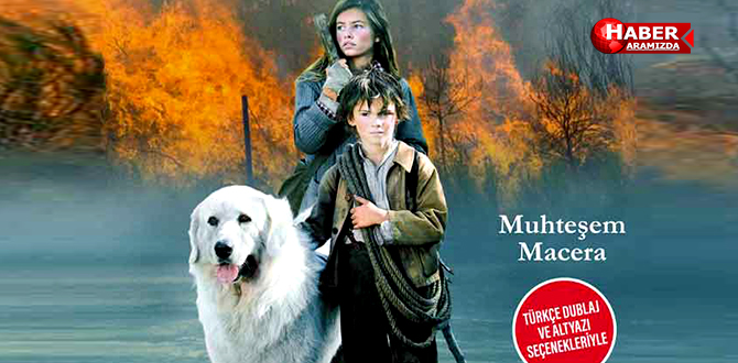 Sebastian: Sevgili Dostum – Fragman ve Özet
