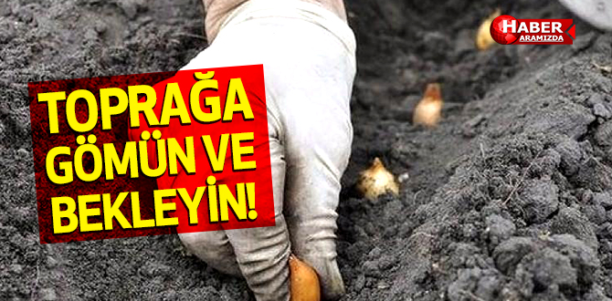 Toprağa Gömün ve Bekleyin Sonuca inanamayacaksınız!