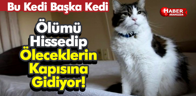 Ölümü Hissedip Öleceklerin Kapısına Gidiyor!