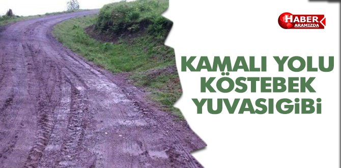 KAMALI YOLU KÖSTEBEK YUVASI