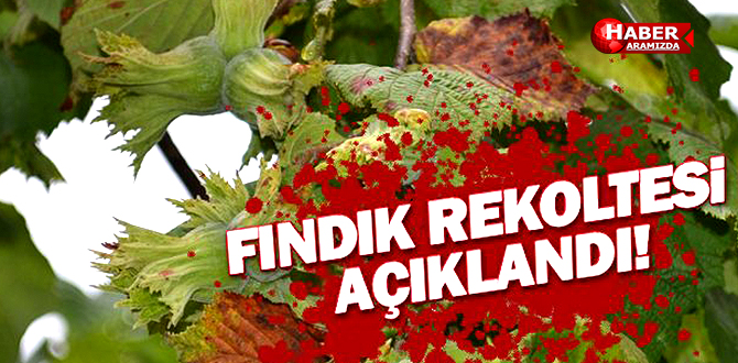 2017 Yılı Fındık  Rekolte Tahmini Çalışmaları Tamamlandı