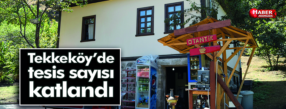Tekkeköy’de tesis sayısı katlandı