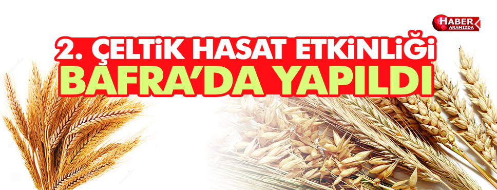 2. Çeltik Hasat Etkinliği Bafra’da Yapıldı