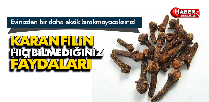 Karanfilin Hiç Bilmediğiniz Faydaları