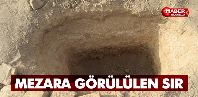 MEZARA GÖRÜLÜLEN SIR