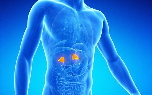 Böbreküstü Bezi Tansiyonunuz Olabilir