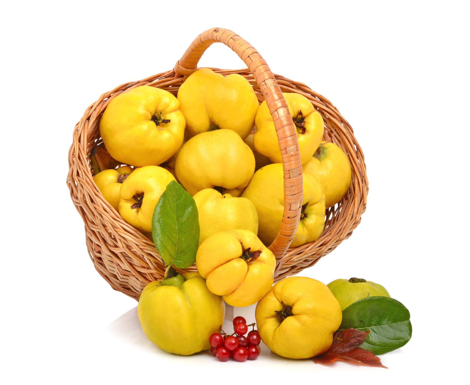 Kış aylarının sağlık deposu Ayva