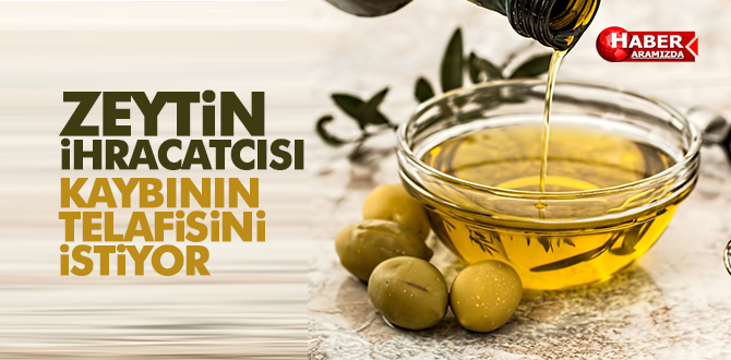 Zeytin ve zeytinyağı ihracatçısı ihracat desteklerindeki kaybının telafisini istiyor