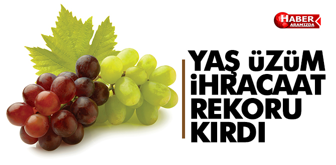 Yaş üzüm ihracatı rekor kırdı