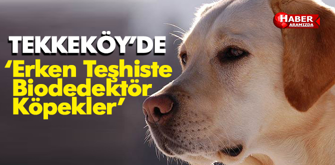 Tekkeköy’de ‘Erken Teşhiste Biodedektör Köpekler’ projesi