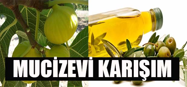 Zeytinyağı ve incirle kanserden korunun