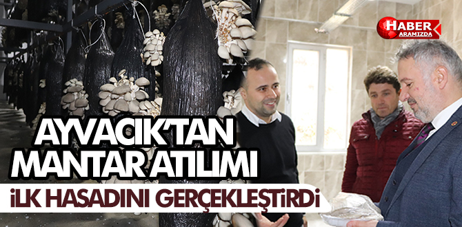 Ayvacık Mantar Tesisi İlk Hasadını Yaptı