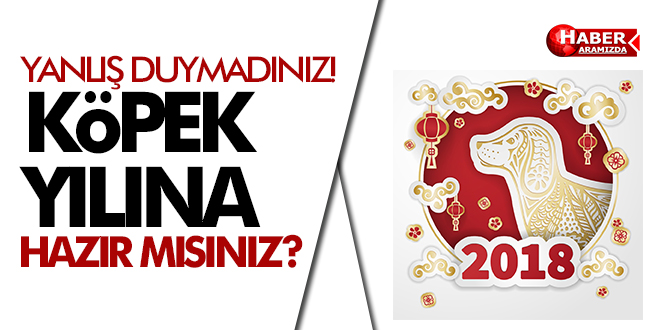 Çin astrolojisine göre yeni yıl hayatımıza neler getirecek?