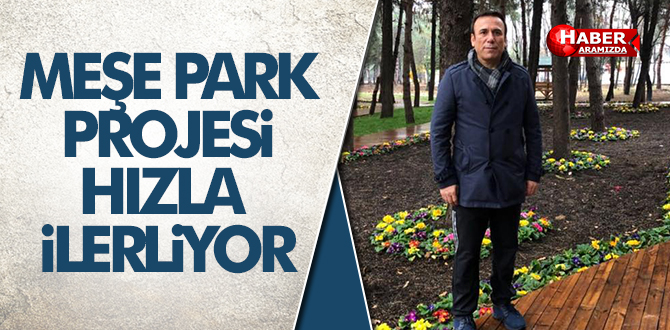 Meşe Orman Park hızla ilerliyor