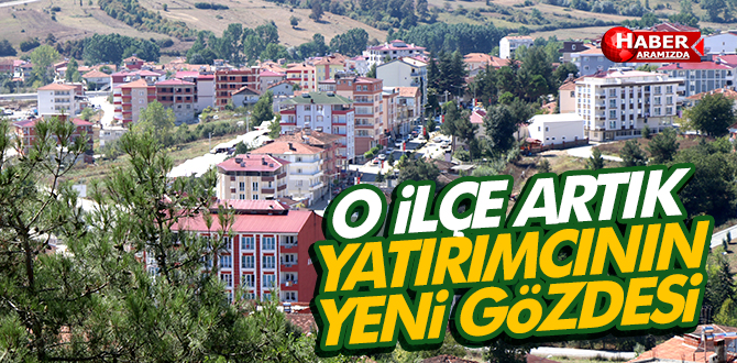 Yatırımın Yeni Gözdesi Kavak
