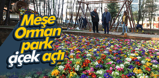 Meşe Orman park çiçek açtı