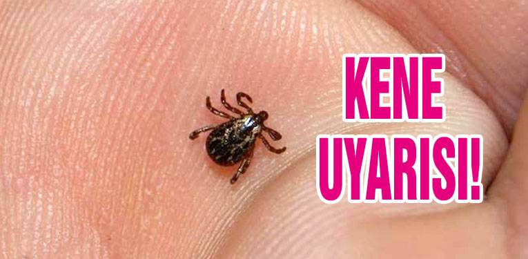 Kırım Kongo Kanamalı Ateşi Hakkında Bilinmeyenler