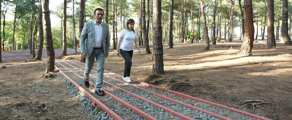 Meşe Orman Park büyüyor