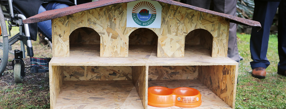 İlkadım’da Sokak Hayvanlarına Sahip Çıkılıyor