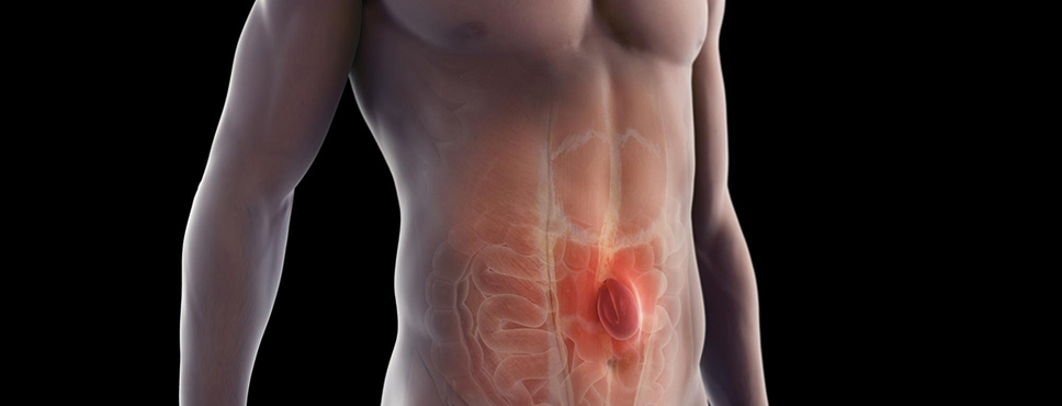 İŞİNİZ SİZİ FITIK ETMESİN