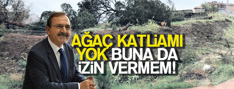 ŞAHİN “AĞAÇ KATLİAMI YOK BUNA DA İZİN VERMEM”