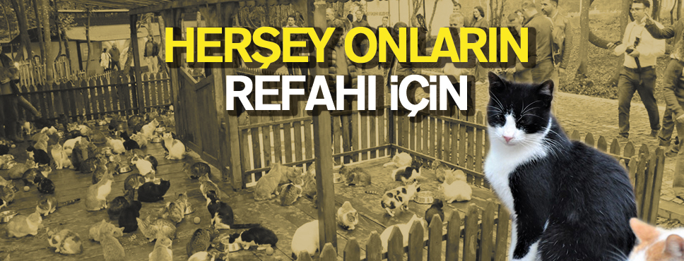 Samsun 3. Sokak Hayvanları Refahı Kongresi