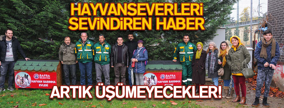 SOKAK KÖPEKLERİ ARTIK ÜŞÜMEYECEK