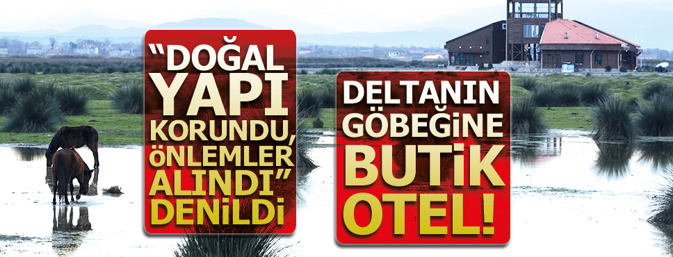 Başkan Zihin Şahin’den Kuş Cenneti açıklaması