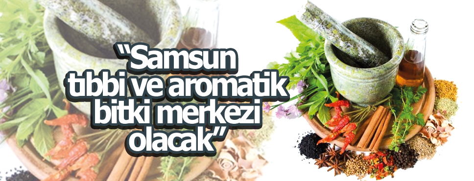 Büyükşehir Belediyesi’nden tıbbi ve aromatik bitki üretimine destek