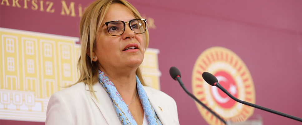 Hancıoğlu’ndan Meclis’te ‘çiftçinin bekası’ çıkışı