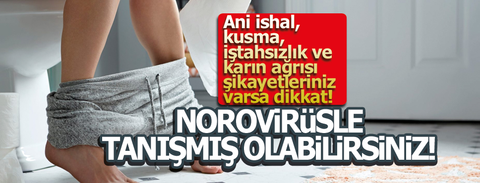 Ani ishal, kusma, iştahsızlık ve karın ağrısı şikayetleriniz varsa