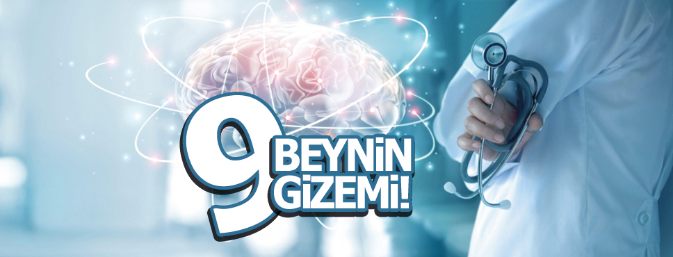 İnsan vücudunun en gizemli organı Beyin!