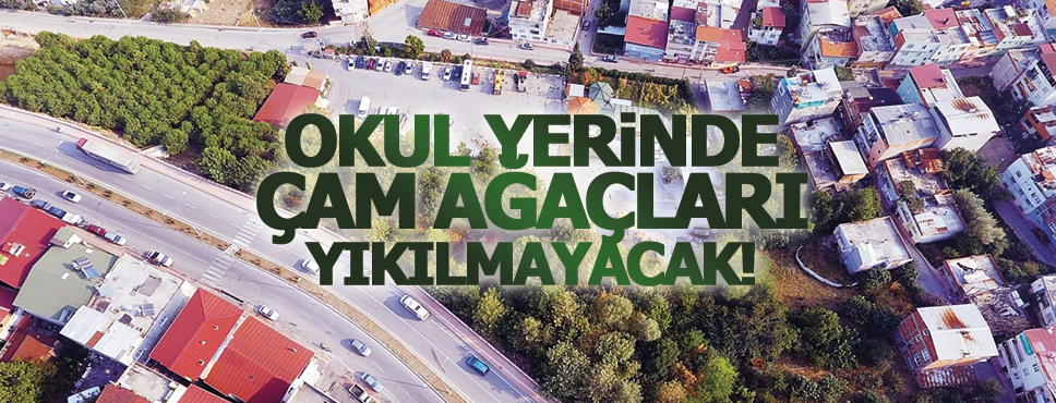 Tok, ‘Ağaçlar, korunarak okul yeri planlanıyor’