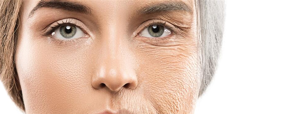 Herkesin kolajene ihtiyacı var