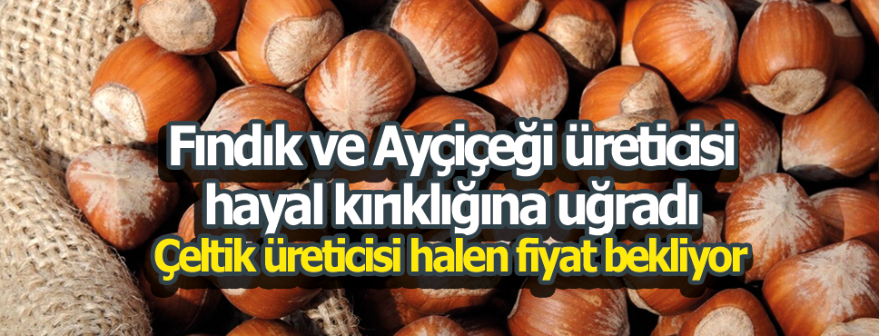 Fındık ve Ayçiçeği üreticisi hayal kırıklığına uğradı