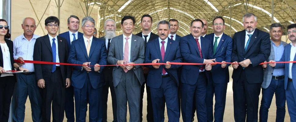 Japonlar Bafra’ya tesis kurdu
