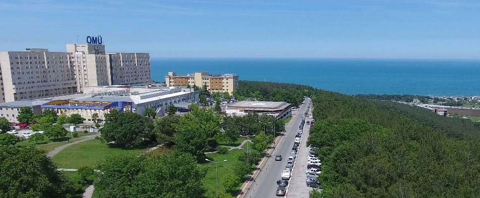 OMÜ’den ABD’ye kınama