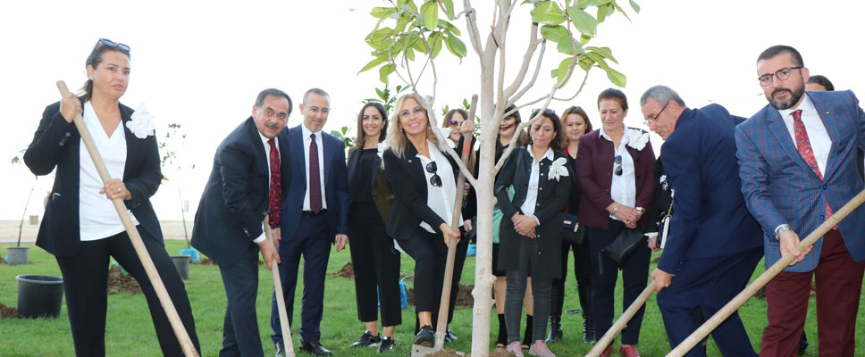 Manolya1919 – Manolya Kokulu Şehir Samsun