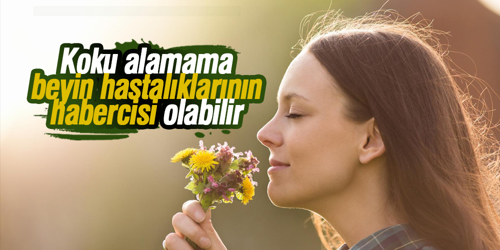 Koku alamama beyin hastalıklarının habercisi olabilir