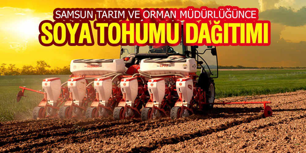 Samsun Tarım ve Orman Müdürlüğünce Soya Tohumu Dağıtımı