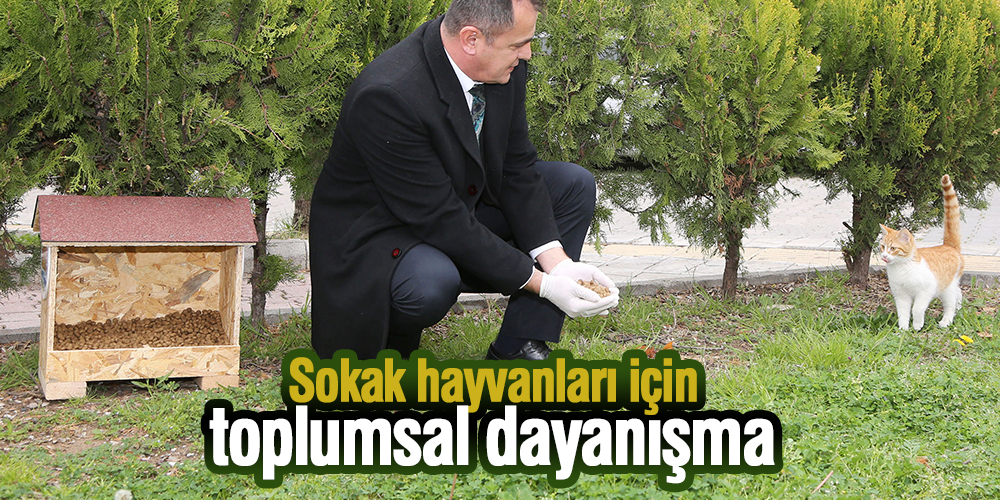 Atakum’da sokak hayvanları için toplumsal dayanışma