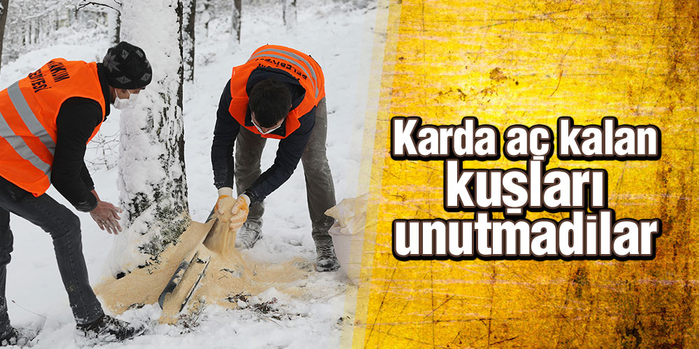 Atakum Belediyesi’nden 42 farklı noktada kuşlara yem desteği